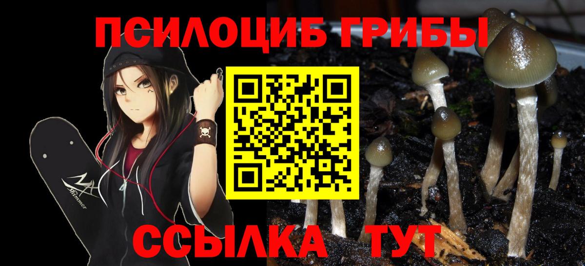 Галлюциногенные грибы MAGIC MUSHROOMS Спасск-Дальний