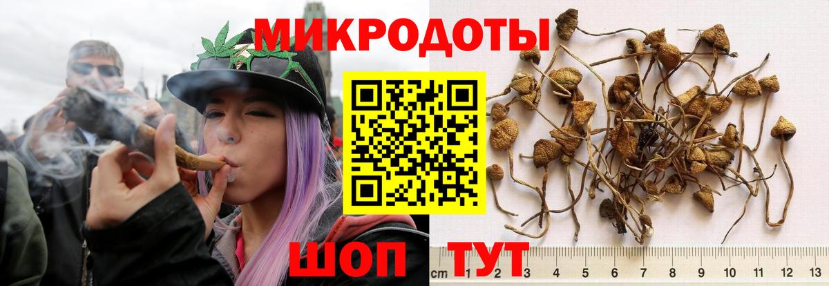 Псилоцибиновые грибы прущие грибы  Галлюциногенные грибы GOLDEN TEACHER  купить   Вход с VPN  Спасск-Дальний 